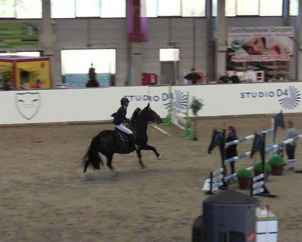 Reitturnier Prussendorf 2023