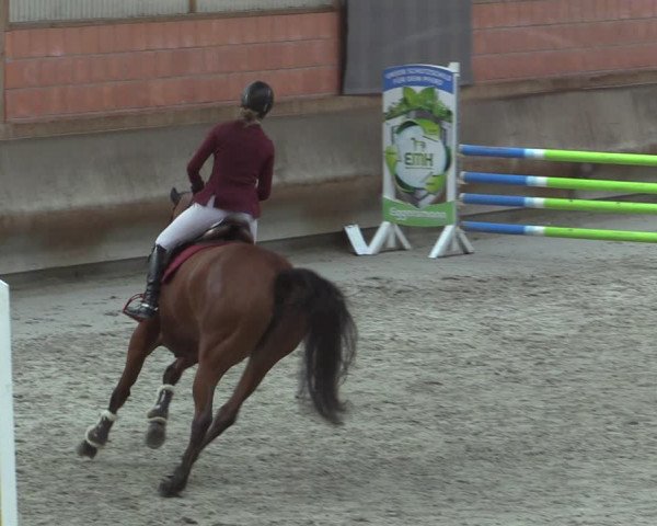 Reitturnier Tremsdorf, Eichenhof 2023