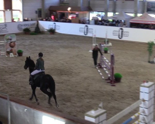 Reitturnier Prussendorf 2023