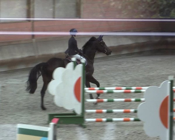 Reitturnier Tremsdorf, Eichenhof 2023