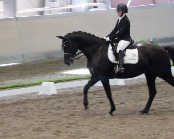 Reitturnier Waghäusel-Wiesental 2023