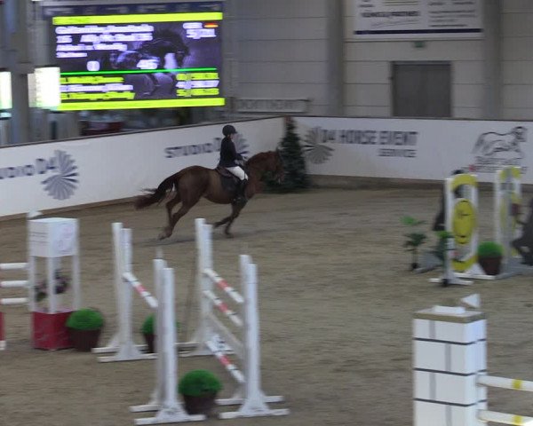 Reitturnier Prussendorf 2023