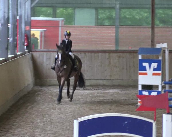 Reitturnier Telgte-Lauheide 2023