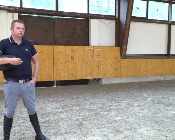 Hannoveraner Zuchtstutenprüfung mit Prämierung in Wickrath 2021