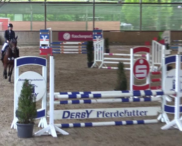 Reitturnier Telgte-Lauheide 2023
