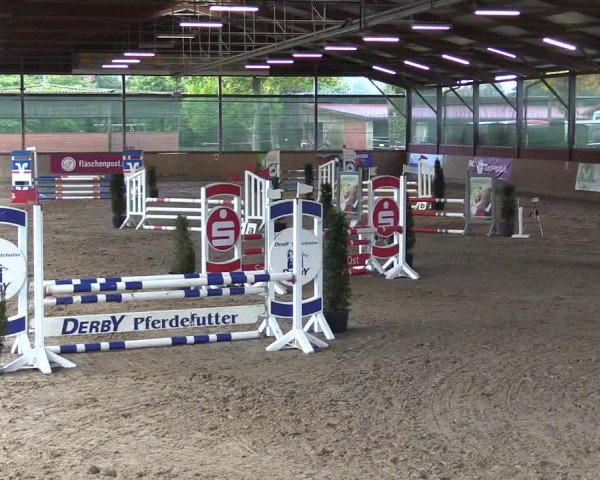 Reitturnier Telgte-Lauheide 2023