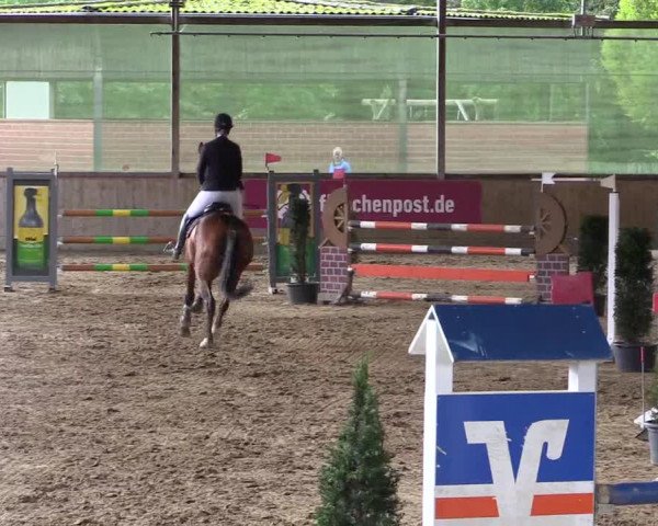 Reitturnier Telgte-Lauheide 2023