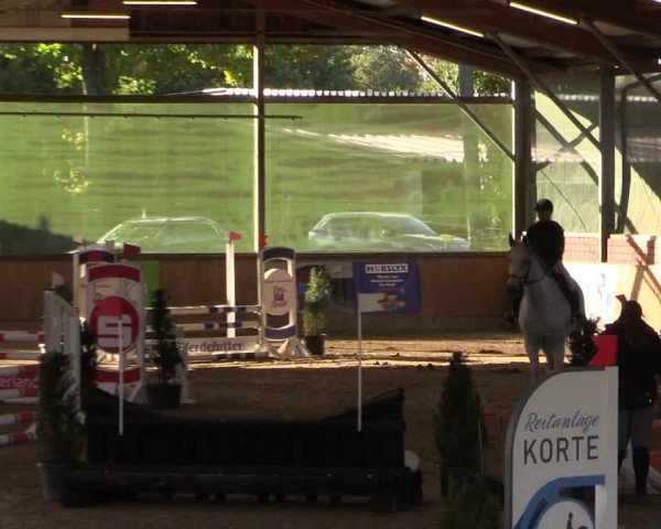 Reitturnier Telgte-Lauheide 2023