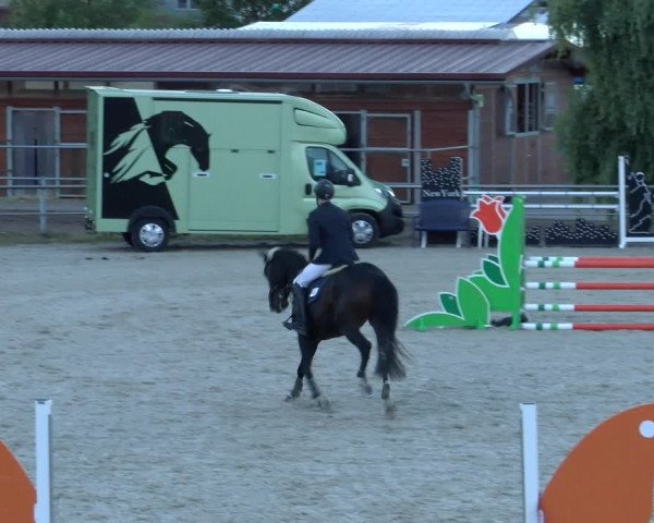 Reitturnier Achern 2023