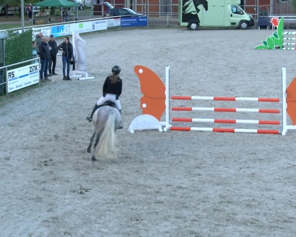 Reitturnier Achern 2023