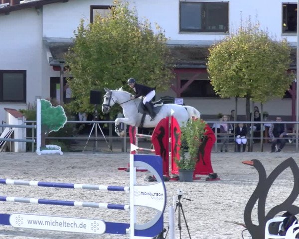 Reitturnier Achern 2023