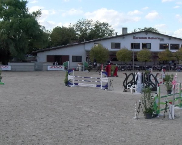 Reitturnier Achern 2023