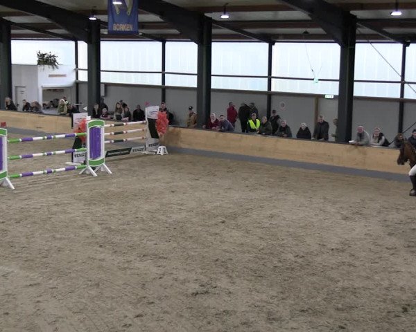Reitturnier Borken 2023