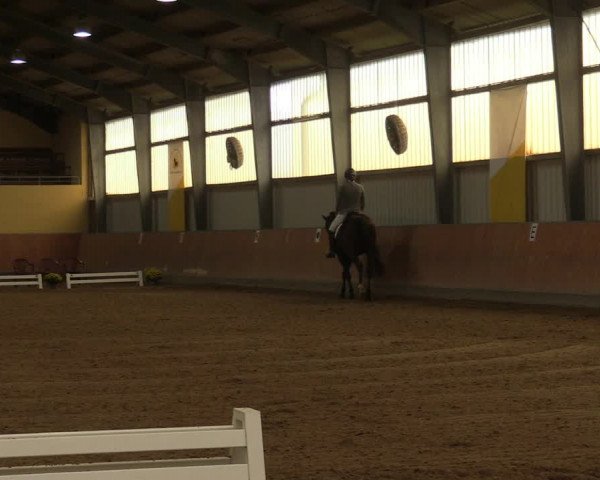 Reitturnier Frechen-Grefrath - Sonnenhof 2023