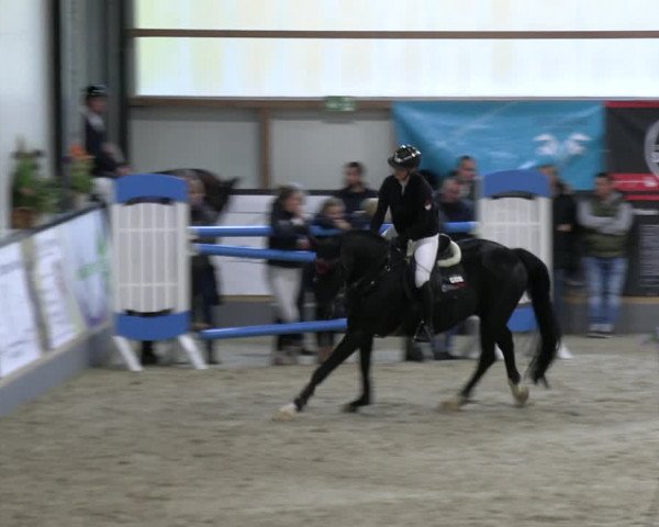 Reitturnier Borken 2023
