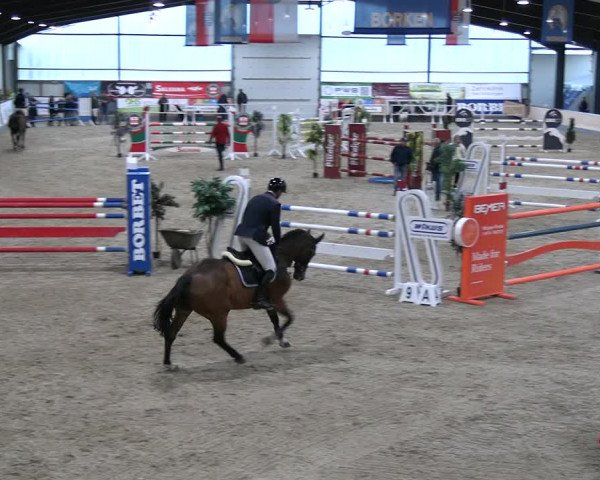 Reitturnier Borken 2023
