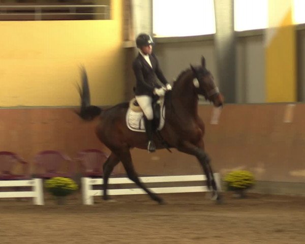 Reitturnier Frechen-Grefrath - Sonnenhof 2023