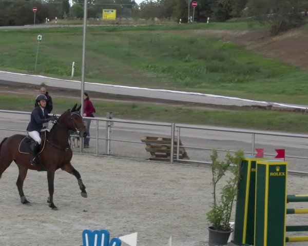 Reitturnier Achern 2023