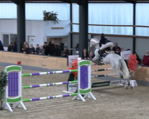 Reitturnier Borken 2023