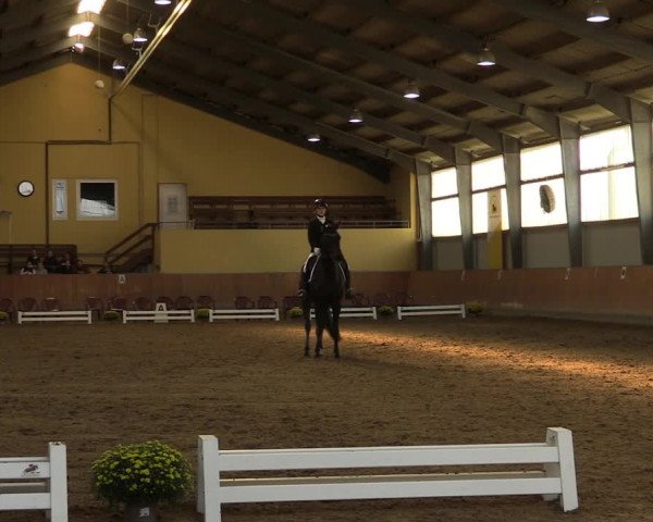 Reitturnier Frechen-Grefrath - Sonnenhof 2023
