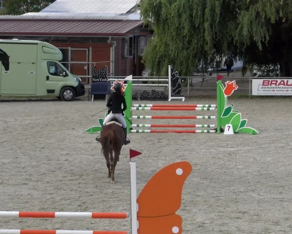 Reitturnier Achern 2023