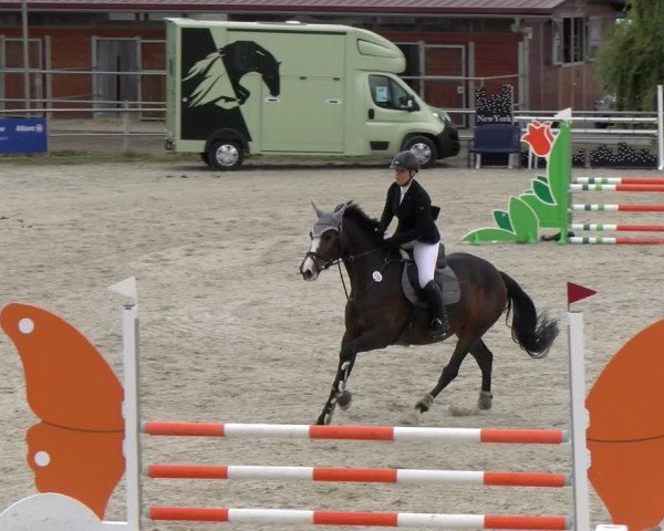 Reitturnier Achern 2023