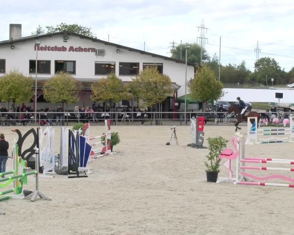 Reitturnier Achern 2023