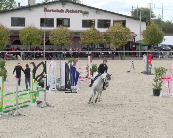 Reitturnier Achern 2023