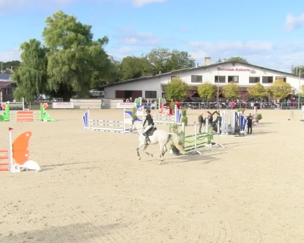 Reitturnier Achern 2023