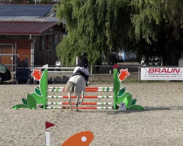 Reitturnier Achern 2023