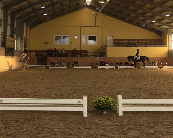 Reitturnier Frechen-Grefrath - Sonnenhof 2023