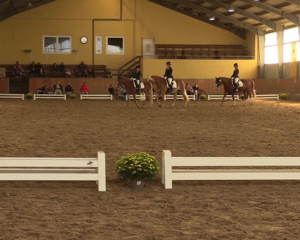 Reitturnier Frechen-Grefrath - Sonnenhof 2023