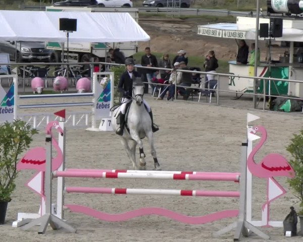 Reitturnier Achern 2023