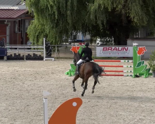 Reitturnier Achern 2023