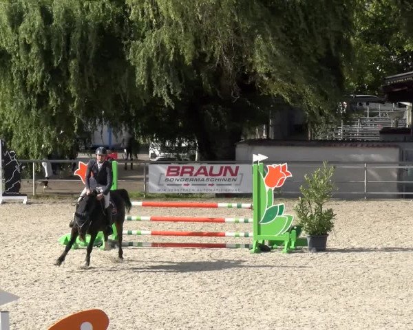 Reitturnier Achern 2023