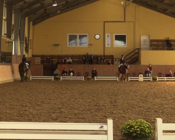 Reitturnier Frechen-Grefrath - Sonnenhof 2023