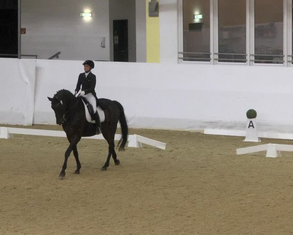 Dressurturnier Stadl Paura 2023