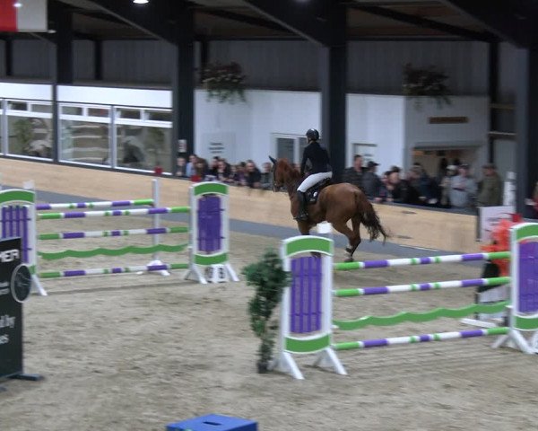 Reitturnier Borken 2023