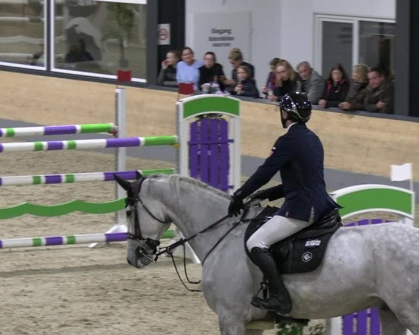 Reitturnier Borken 2023