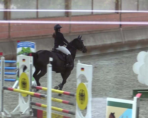 Reitturnier Tremsdorf, Eichenhof 2023
