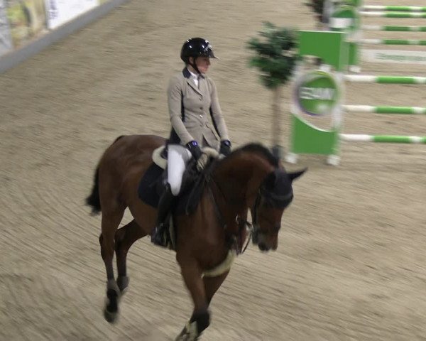 Reitturnier Borken 2023