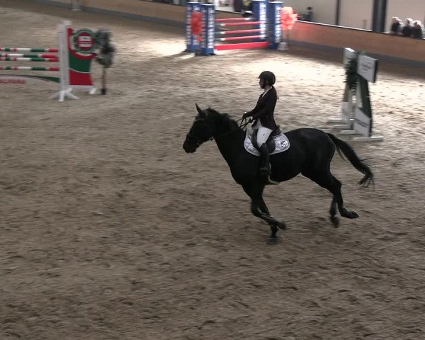 Reitturnier Borken 2023