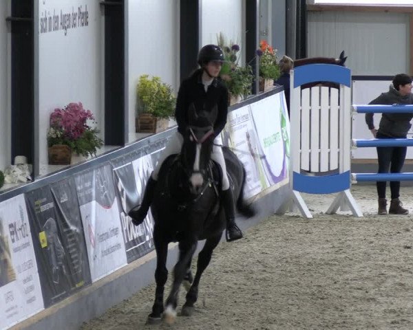 Reitturnier Borken 2023