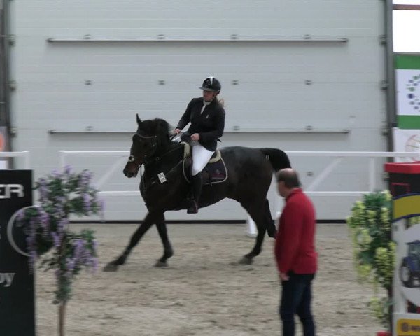 Reitturnier Borken 2023