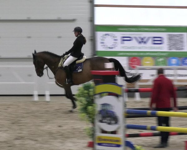 Reitturnier Borken 2023