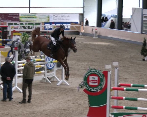 Reitturnier Borken 2023