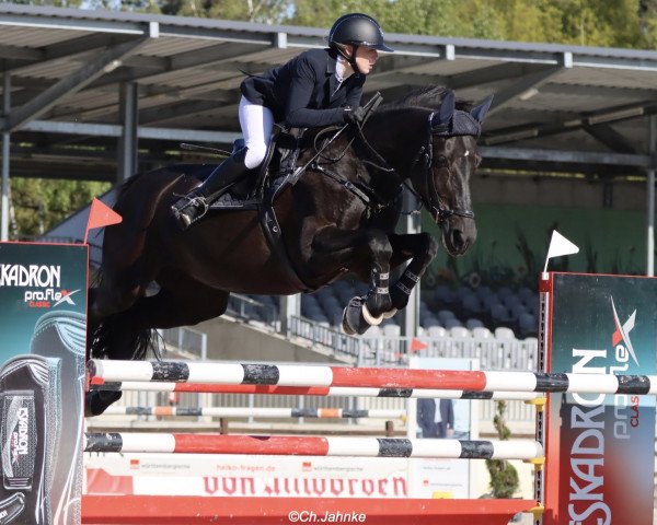 jumper Carla L (Hanoverian, 2005, from Champion For Pleasure)