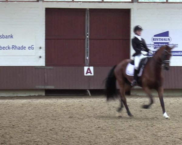 Reitturnier Lembeck-RA Elwermann 2023