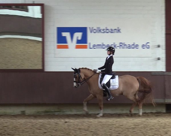 Reitturnier Lembeck-RA Elwermann 2023