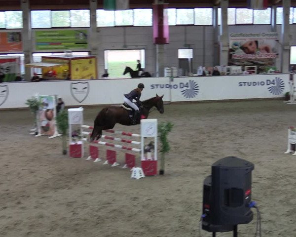 Reitturnier Prussendorf 2023